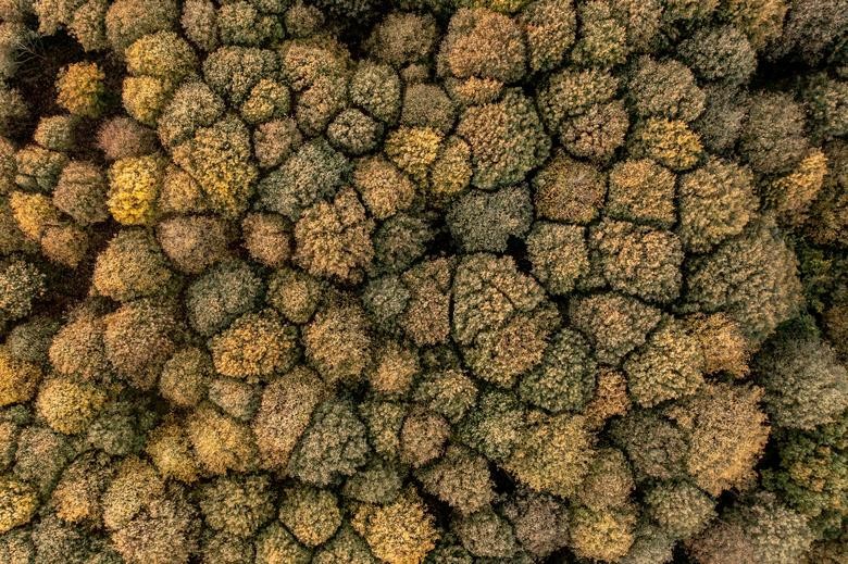 Ngắm cảnh sắc đẹp 'hút hồn' của mùa Thu ở các nơi trên thế giới Ngắm cảnh sắc đẹp 'hút hồn' của mùa Thu ở các nơi trên thế giới