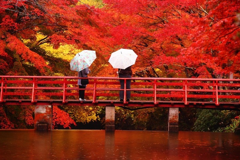 Ngắm cảnh sắc đẹp 'hút hồn' của mùa Thu ở các nơi trên thế giới Ngắm cảnh sắc đẹp 'hút hồn' của mùa Thu ở các nơi trên thế giới