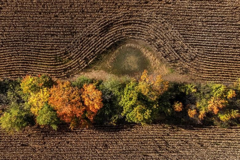 Ngắm cảnh sắc đẹp 'hút hồn' của mùa Thu ở các nơi trên thế giới Ngắm cảnh sắc đẹp 'hút hồn' của mùa Thu ở các nơi trên thế giới