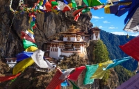 nhung su kien dang mong doi nam 2020