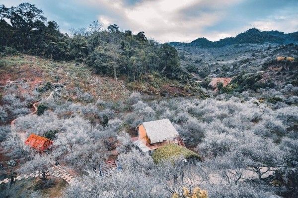 (Ảnh Trọng Lê) (Ảnh Trọng Lê)