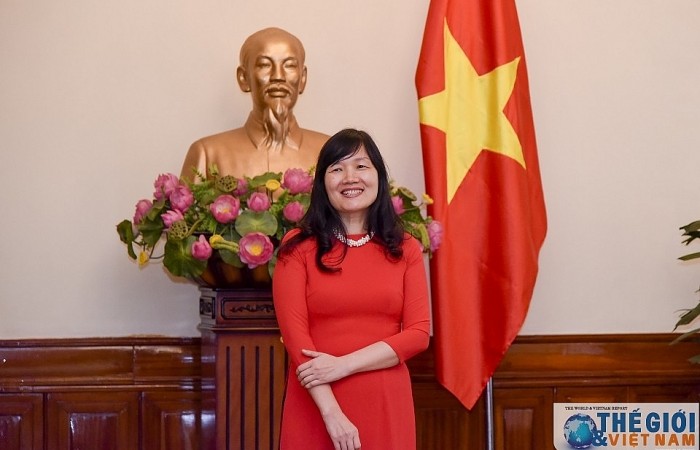 Khi cần, Việt Nam sẵn sàng các biện pháp pháp lý