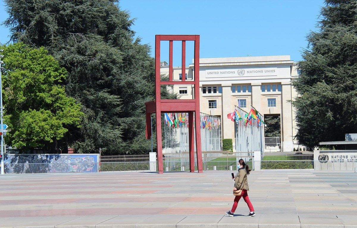 Đại sứ quán Việt Nam tại Thụy Sỹ sát cánh cùng cộng đồng người Việt giữa đại dịch Covid-19 dai su quan viet nam tai thuy si sat canh cung cong dong nguoi viet giua dai dich covid 19