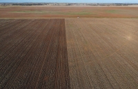 Liệu Thỏa thuận thương mại tự do Trung Quốc-Australia có thể làm dịu cơn sốt về virus corona?