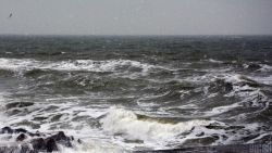 Vụ tàu Ukraine gặp nạn ở Biển Đen: Kiev cáo buộc Nga phớt lờ, Moscow nói 'không phải thế'