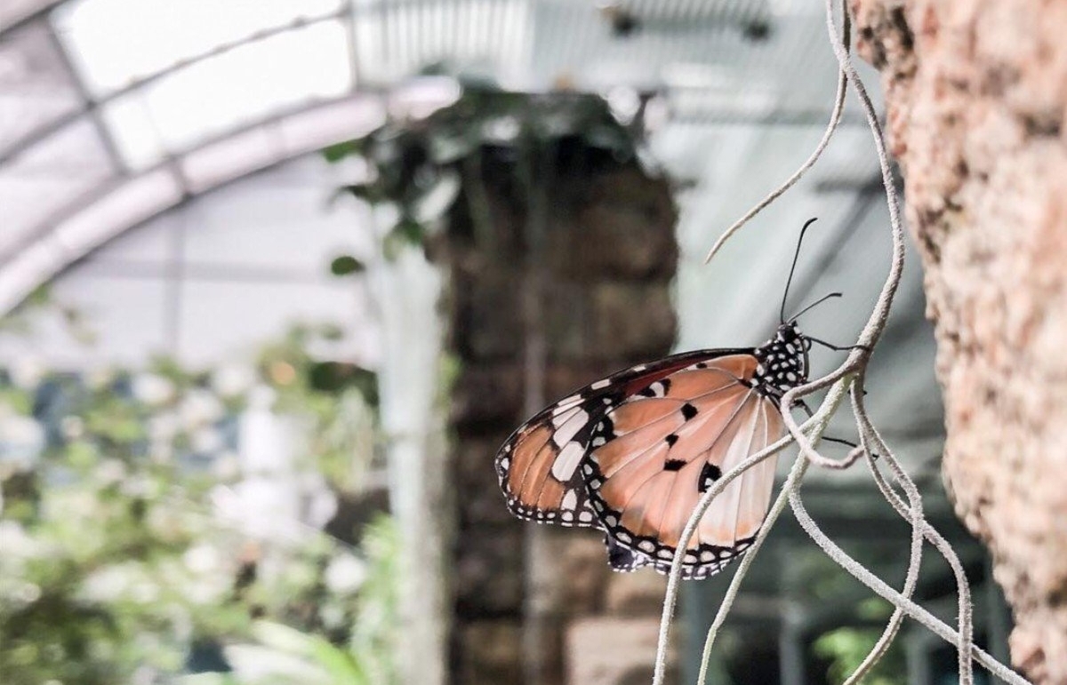 5 sân bay giỏi ‘níu chân’ du khách nhất thế giới