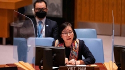 Hội đồng Bảo an Liên hợp quốc lo ngại về tình hình an ninh ngày càng xấu đi tại khu vực Sahel