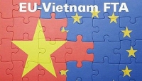 5 năm thực thi EVFTA: Giữ vững nhịp tăng trưởng thương mại Việt Nam-EU, kỳ vọng thu lợi ích từ thuế quan