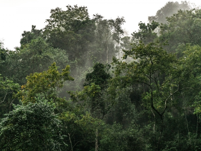 Việt Nam ủng hộ LHQ xử lý các thách thức do biến đổi khí hậu đối với hòa bình, an ninh quốc tế