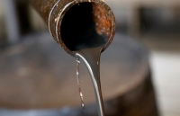 tim cach thu hut dong minh than can cua nga my chi dinh dai su tai belarus sau hon 10 nam bi truc xuat