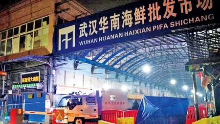 Covid-19: WHO sẽ thăm các bệnh viện, phòng thí nghiệm và chợ tại Vũ Hán, Trung Quốc