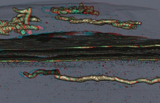 Đã có sinh vật di chuyển trên Trái Đất cách đây hơn 2 tỷ năm