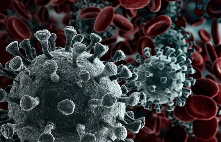 Hong Kong xác nhận ca nhiễm virus corona mới, 20 công dân Pháp trở về từ Vũ Hán có triệu chứng nhiễm bệnh