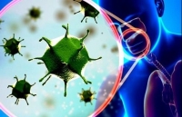 kiem soat chat dich benh do virus corona khi giai quyet thu tuc xuat nhap khau hang