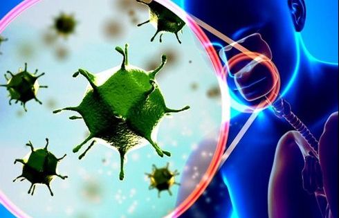 Nên lo lắng đến mức độ nào với virus corona - 8 điều bạn cần biết