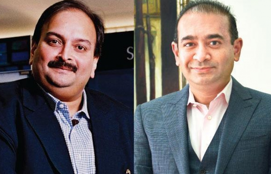 ​Ấn Độ đề nghị Interpol phát lệnh bắt giữ tỷ phú lừa đảo