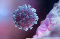 bat cuoi voi dich vu goi dau cat toc la doi giua mua dich covid 19