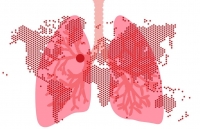 bat cuoi voi dich vu goi dau cat toc la doi giua mua dich covid 19