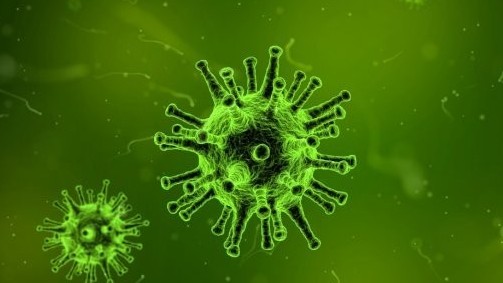 Lộ nguồn gốc đại dịch Covid-19, loại trừ khả năng rò rỉ từ phòng thí nghiệm?