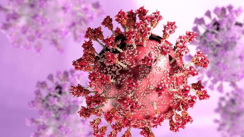 Lời khuyên với người điều trị vô sinh, hiếm muộn đã khỏi Covid-19