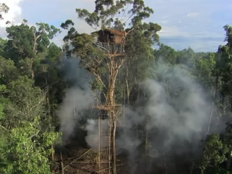 ​BBC thừa nhận sử dụng cảnh giả trong phim tài liệu