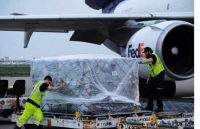 ba u cu my lieu cu tri con quan tam den tong thong donald trump