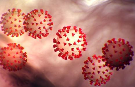 Dịch Covid-19: Số ca nhiễm tại Nga, Ukraine tăng mạnh, chuyên gia đánh giá về khả năng đột biết của virus