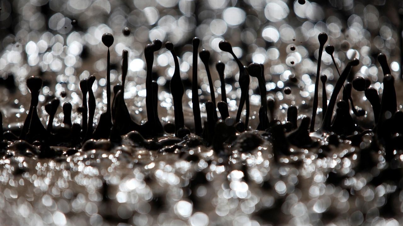 Tổng thống Trump lệnh bắn hạ bất kỳ tàu Iran nào 'có hành động khiêu khích', giá dầu Mỹ tăng gần 20%