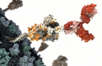 trao 93 suat hoc bong duc cho sinh vien viet nam hoc gioi vuot kho