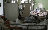 moi meo co the lay sars cov 2 cho meo ke ca khi khong xuat hien trieu chung