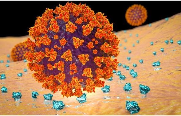 Điều tra nguồn gốc Covid-19: Australia tin Mỹ sẽ ủng hộ, Trung Quốc nói còn quá sớm để tiến hành