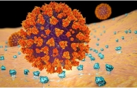 duy tri su can bang bai toan dau dau cua nga trong the gioi hau covid 19