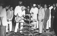 Chủ tịch Hồ Chí Minh - 