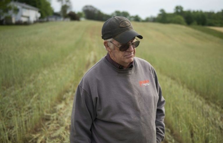 Covid-19 và căng thẳng thương mại với Trung Quốc: Cú đòn kép giáng vào nông dân Mỹ