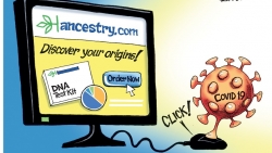 WSJ: WHO tính nối lại cuộc điều tra về nguồn gốc Covid-19