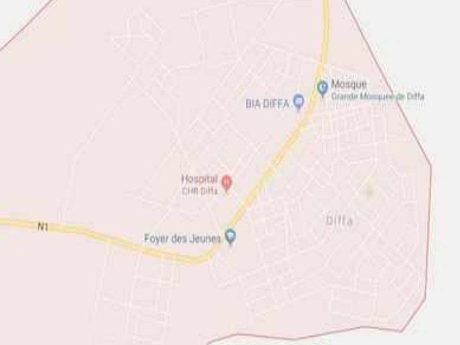 ​Đánh bom liều chết liên hoàn ở Niger