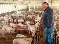 eu canh bao dap tra thue o to cua my