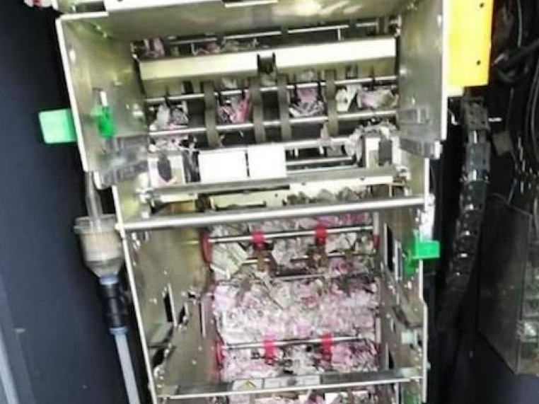 Hy hữu: Chuột "trộm" hơn 1 triệu Rupee ở Ấn Độ