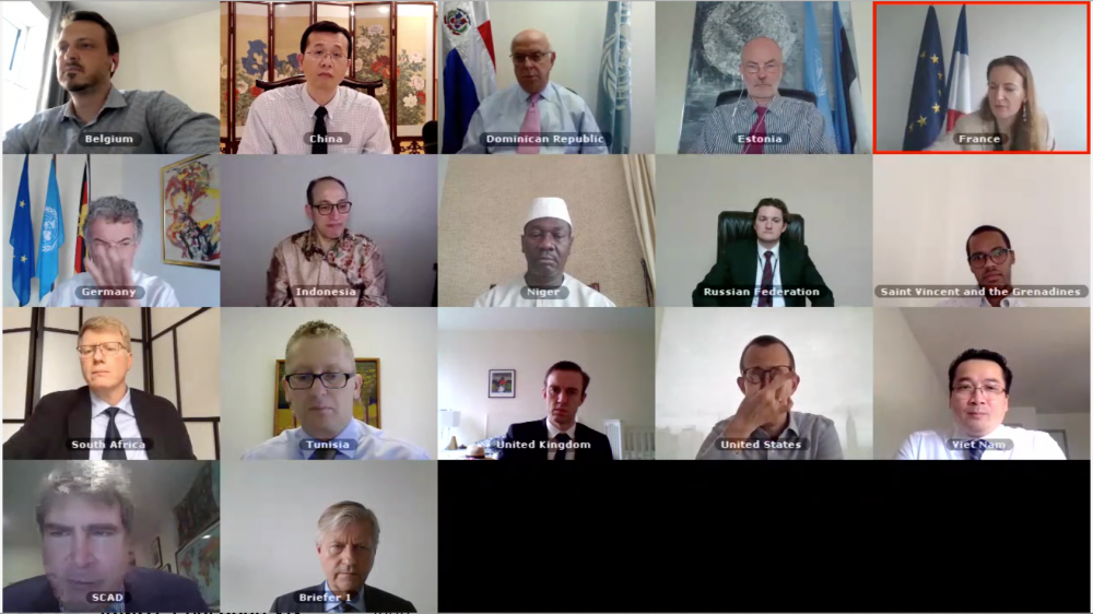 Hội đồng Bảo an chuẩn bị gia hạn Lực lượng LHQ tại Cao nguyên Golan