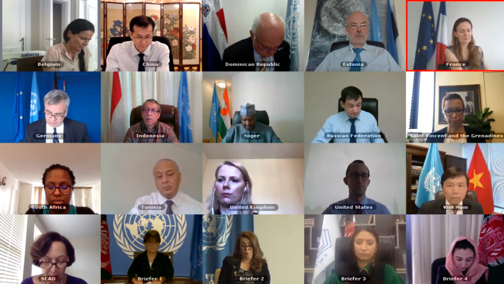 Họp trực tuyến Hội đồng Bảo an: Việt Nam kêu gọi thúc đẩy triển khai tiến trình hòa bình liên quan đến Afghanistan hop truc tuyen hoi dong bao an viet nam keu goi thuc day trien khai tien trinh hoa binh lien quan den afghanistan