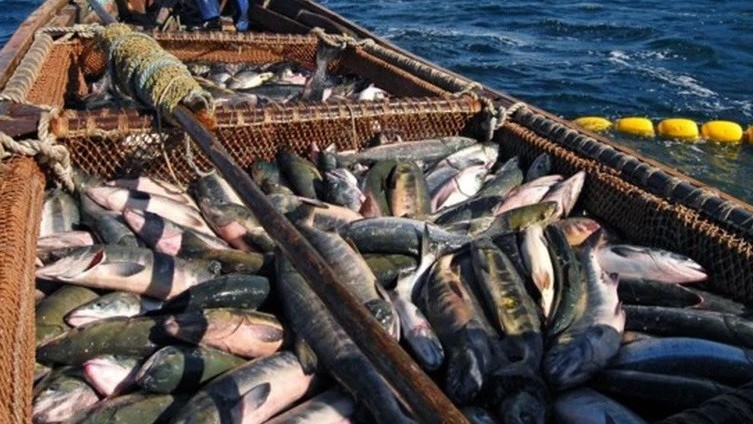 Nga tuyên bố đình chỉ một thỏa thuận với Nhật Bản, nói 'cho đến khi họ hoàn thành mọi trách nhiệm...'