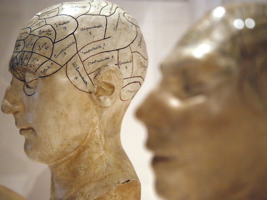 Ý thức được phát triển như thế nào?