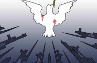 my voi taliban o afghanistan ke qua da nguoi qua voi