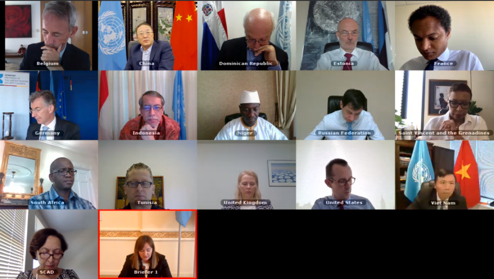 hoi dong bao an thao luan ve hoat dong cua trung tam ngoai giao phong ngua cua lien hop quoc tai trung a