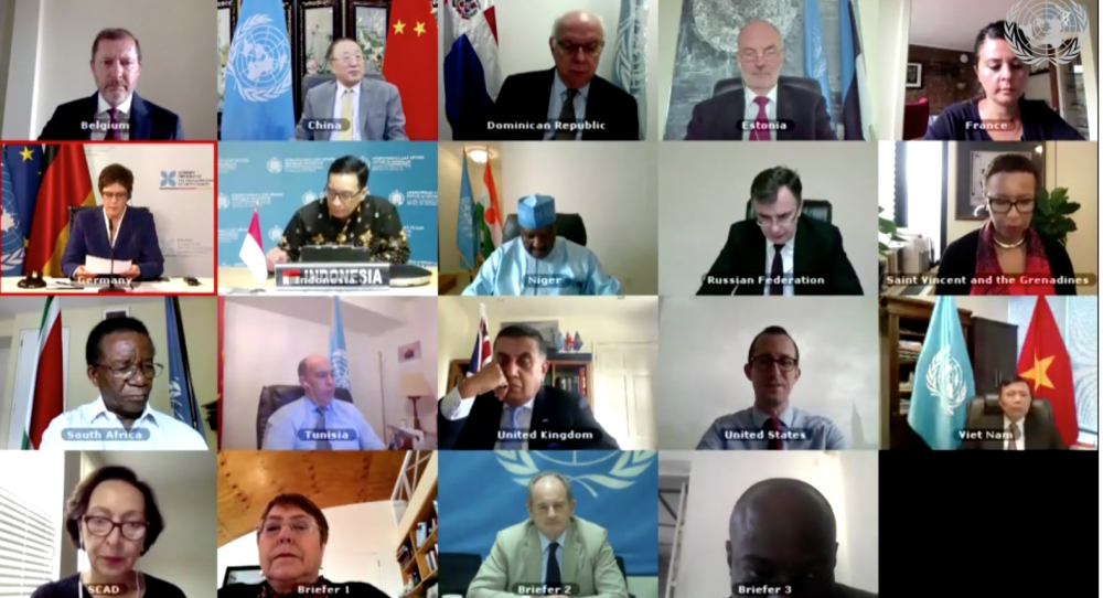 Hội đồng Bảo an họp trực tuyến mở về Hoạt động hoà bình và quyền con người hoi dong bao an hop truc tuyen mo ve hoat dong hoa binh va quyen con nguoi