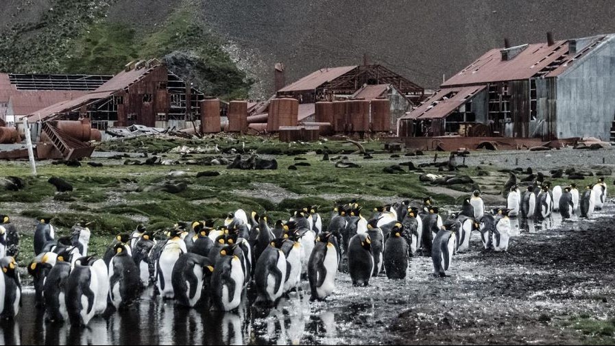 Tranh chấp lãnh thổ: Anh có bước đi khiến Argentina phản ứng mạnh, trao công hàm phản đối