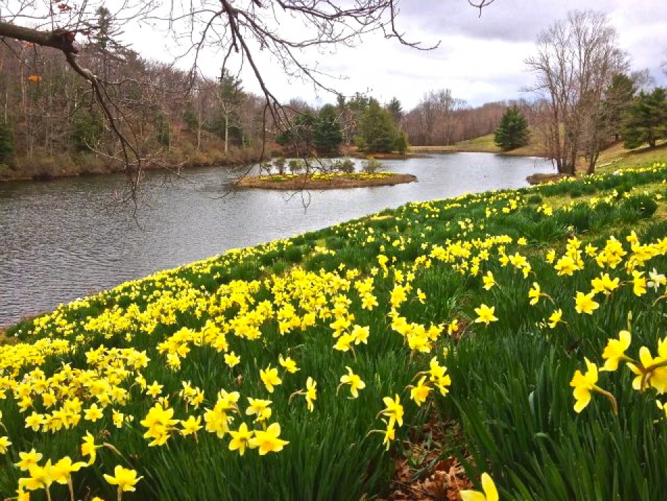 Nhớ lại một bài thơ Anh