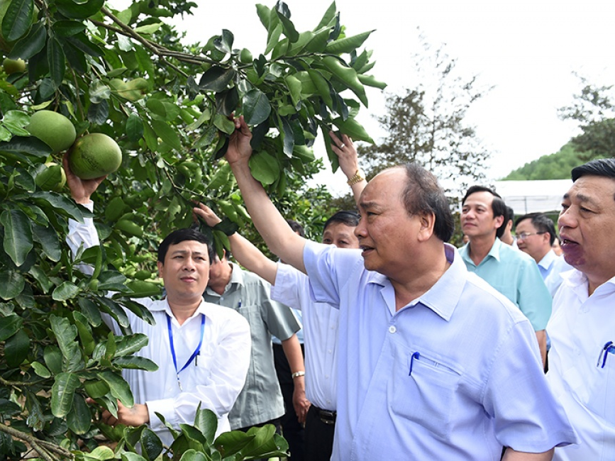Thủ tướng: Nông thôn mới thì môi trường sống phải sạch sẽ, ngăn nắp