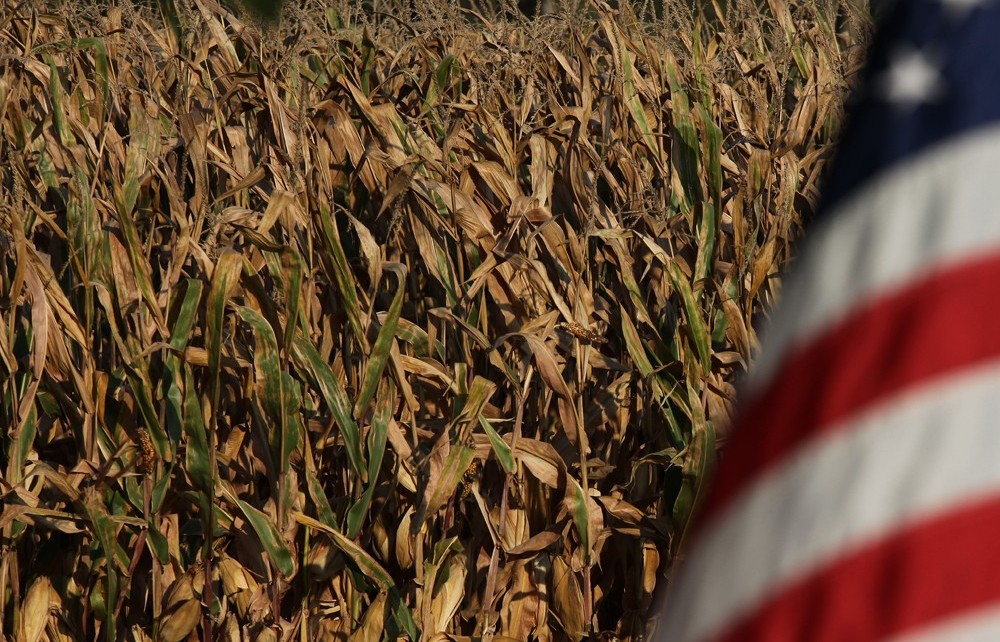 Thương mại Mỹ - Trung: Tranh cãi việc Trung Quốc tuân thủ cam kết mua nông sản Mỹ