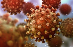 Cập nhật 7h ngày 10/8: Số người mắc Covid-19 toàn cầu vượt 20 triệu, châu Á chiếm hơn 5 triệu ca, đồng minh Mỹ thử nghiệm vaccine Trung Quốc